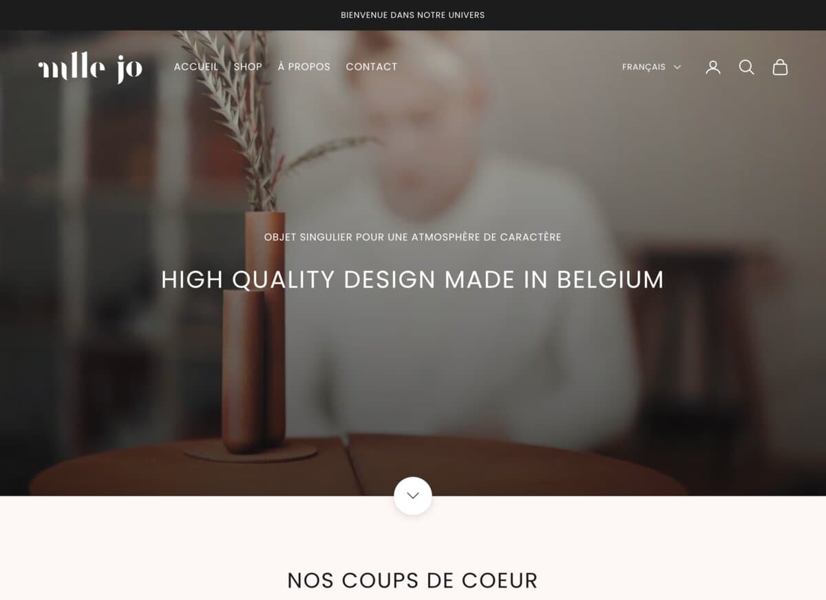 Mademoiselle Jo website screenshot