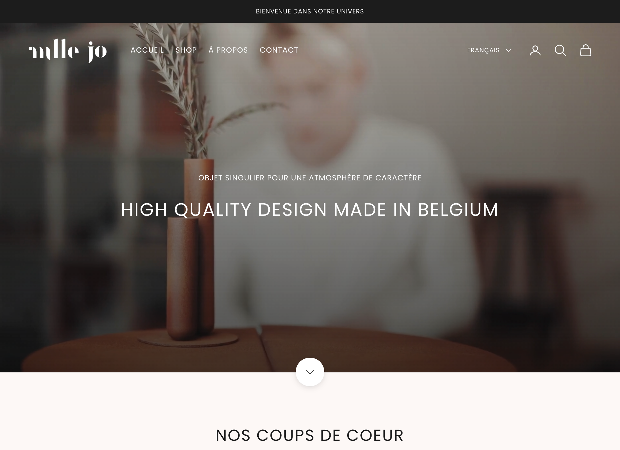 Mademoiselle Jo website screenshot